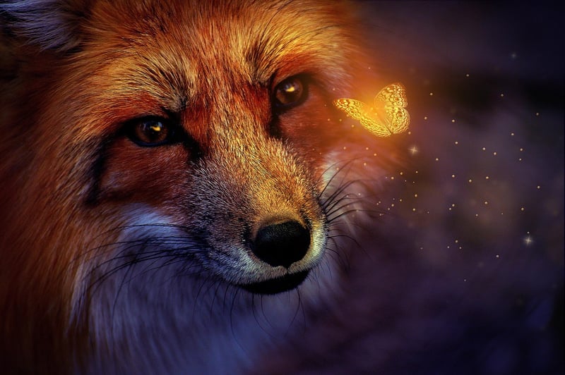Magical Fauna